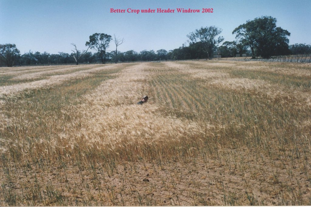 <a href="/SeanM_DMAg_SA/">Sean Matthewson</a> <a href="/abclandline/">ABC Landline</a> <a href="/DodgshunMedlin/">Dodgshun Medlin</a> <a href="/DSchub11/">David Schubert</a> <a href="/SandraGodwin_/">Sandra Godwin</a> 2002 taught us that keeping residue was vital to help drought proof crops. This picture in 02 shows the only crop is where there was residue from previous year.