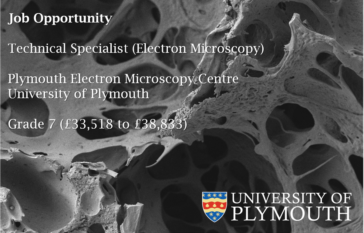 EMC_PlymUni's tweet photo. JOB ALERT: we're #hiring! 

We're looking for a new #technician to join us @PlymUni with experience in #ElectronMicroscopy &amp; #biology 

Permanent #job, great team, good location! 

More info here: https://t.co/QJmC3WSqSs

#JobListing #AcademicTwitter #ECRChat #PhDChat #TechJobs https://t.co/zSTS9joIHh