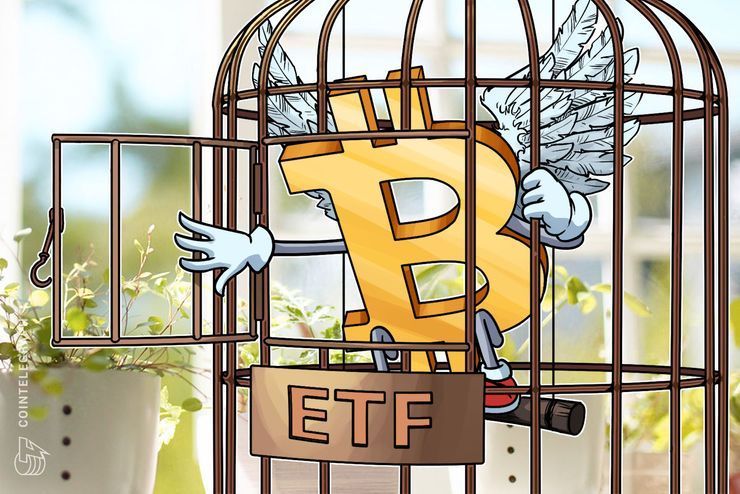 "⁠Fatfish Internet Group CEO Kin-Wai Lau is bullish on both Bitcoin prices and ETFs
buff.ly/2LRJimg"

Join spokkz presale>>>>buff.ly/2NPDQ0C
