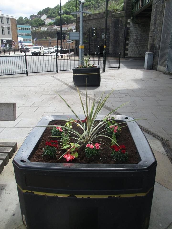 We met with management staff of Arriva Wales. All the planters outside the train station are fully planted up. This has been a great collaboration between Bee Friendly Ponty, @YourPontypridd BID , Town Council, Newydd and Arriva.