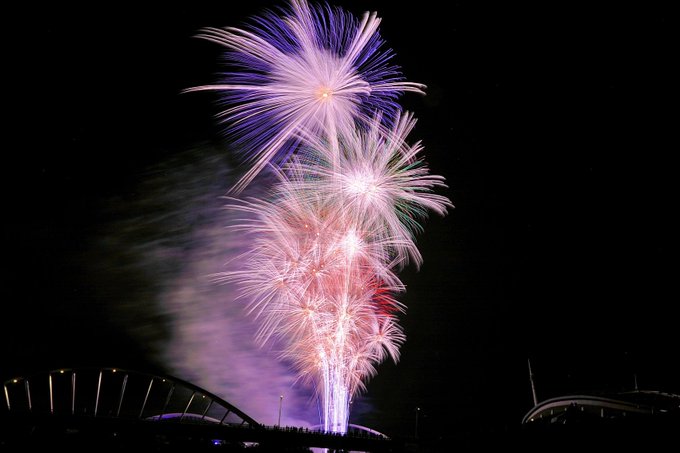 日本の花火は世界で一番美しいのtwitterイラスト検索結果