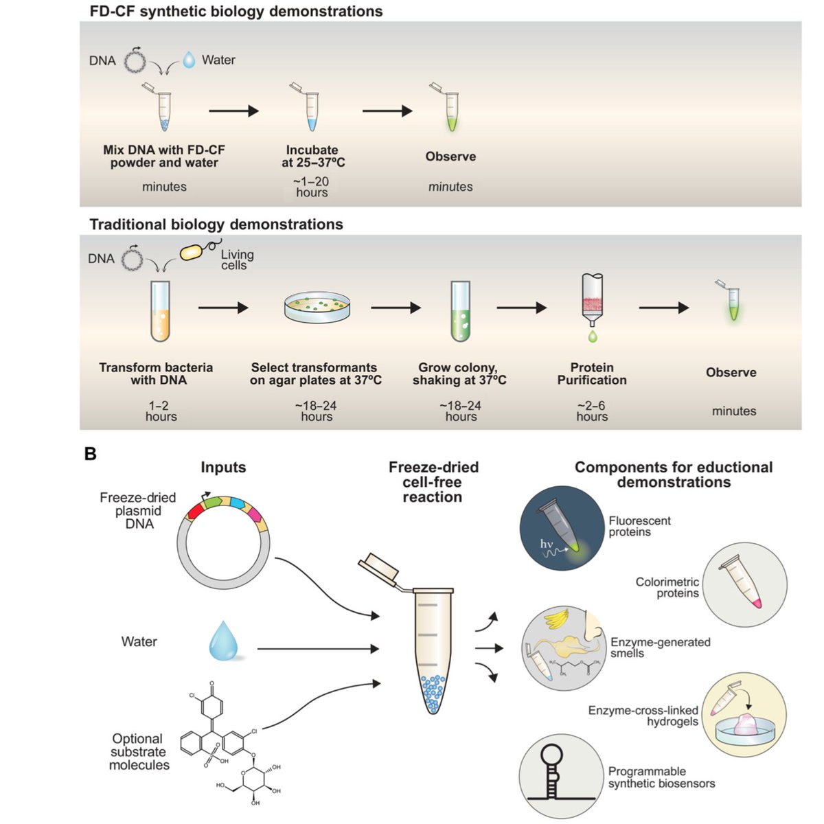 recent advances