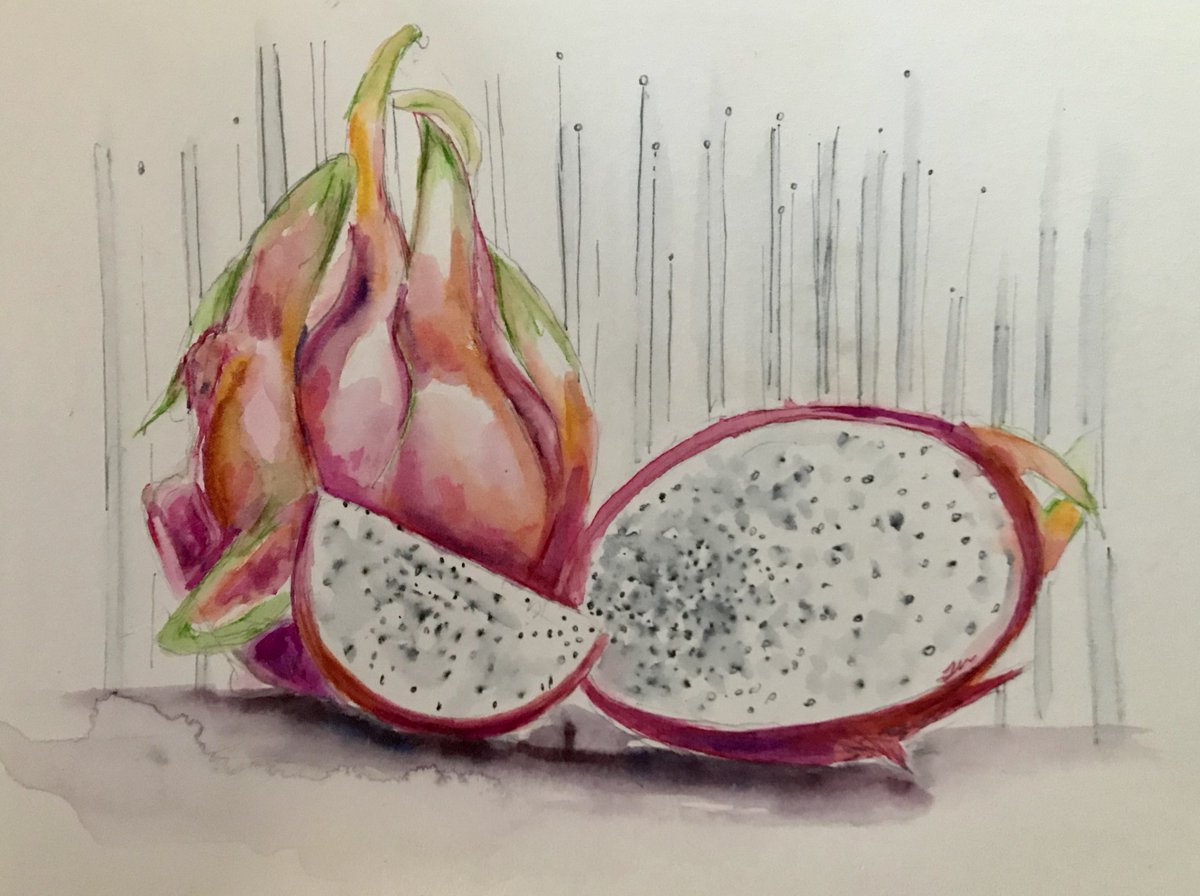 TracyWelling1's tweet photo. #idigweirdfruit #dragonfruit #exoticfruit #watercolorandink #watercolor #watercolorpainting #funforme #tracywellingfineart #itsallinthedetails https://t.co/QLCDqZtjRH