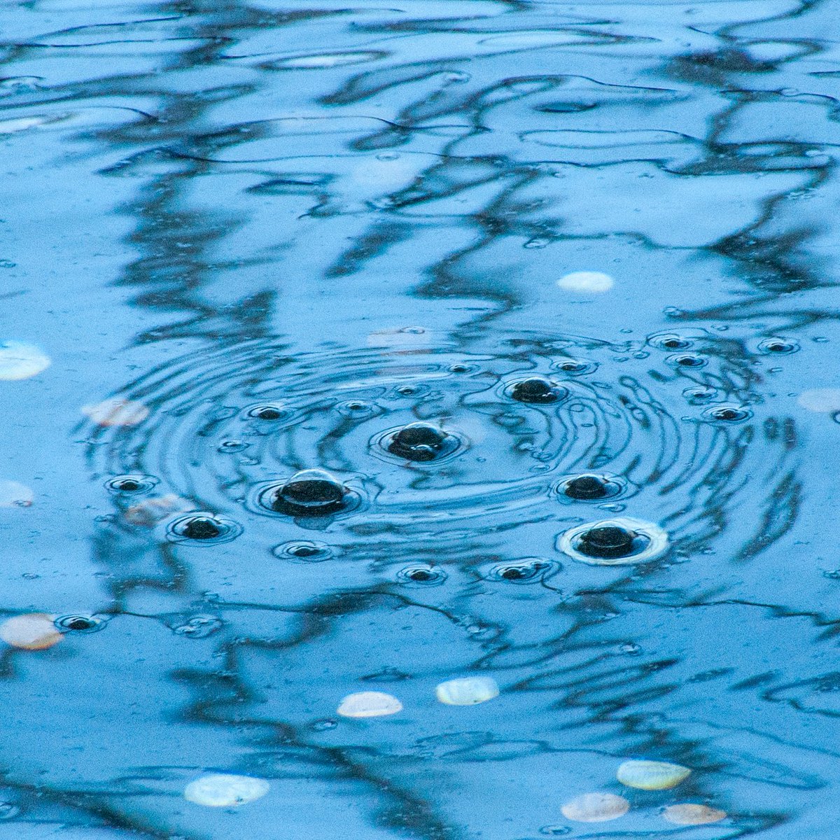 Dalpho's tweet image. Ci sono molte cose strane da vedere nella #GrandeMela🍎☺😉🤔😀  
There are many strange things to see in the #bigapple 🍎☺😉🤔😀