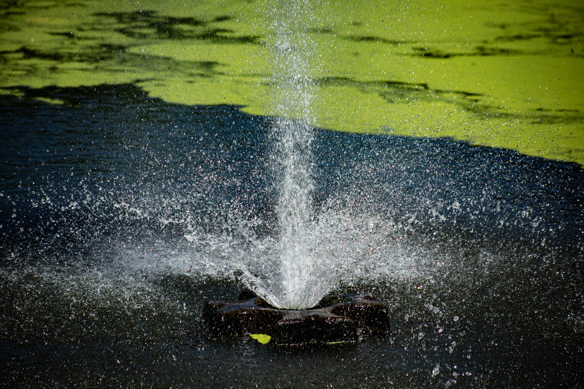 TV_Promo_Dude's tweet image. More Fun with Water. #LincolnPark #SpringfieldIllinois #FountainFun 💦
