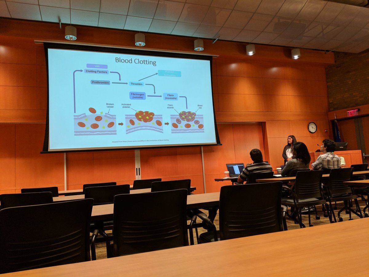 MCWMedSchool's tweet photo. Supporting the Diversity Summer Health Related Research Education Program #DSHREP AND Summer Program for Undergraduate Research #SPUR participants during their final presentations! Proud to see the next gen of physicians and scientists! https://t.co/rPJwcowKnN