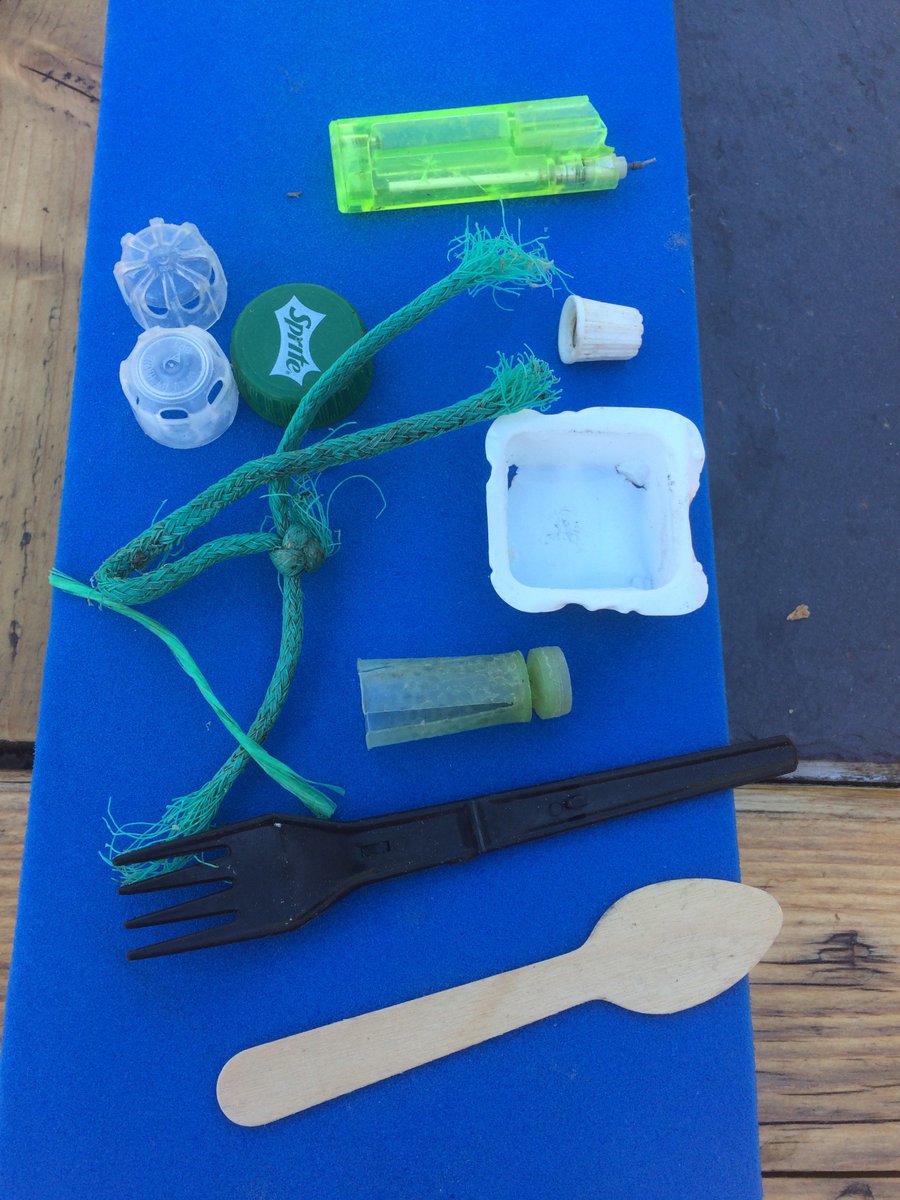 Last night's @2minbeachclean along the inside of Hurst Spit, @LymKeyRanger . 5 Cotton Buds, 4 straws plus the usual suspects @sascampaigns @mcsuk @greatnurdler @FidraTweets @BanTheStraw #plasticfree #NationalMarineWeek  #cottonbudchallenge