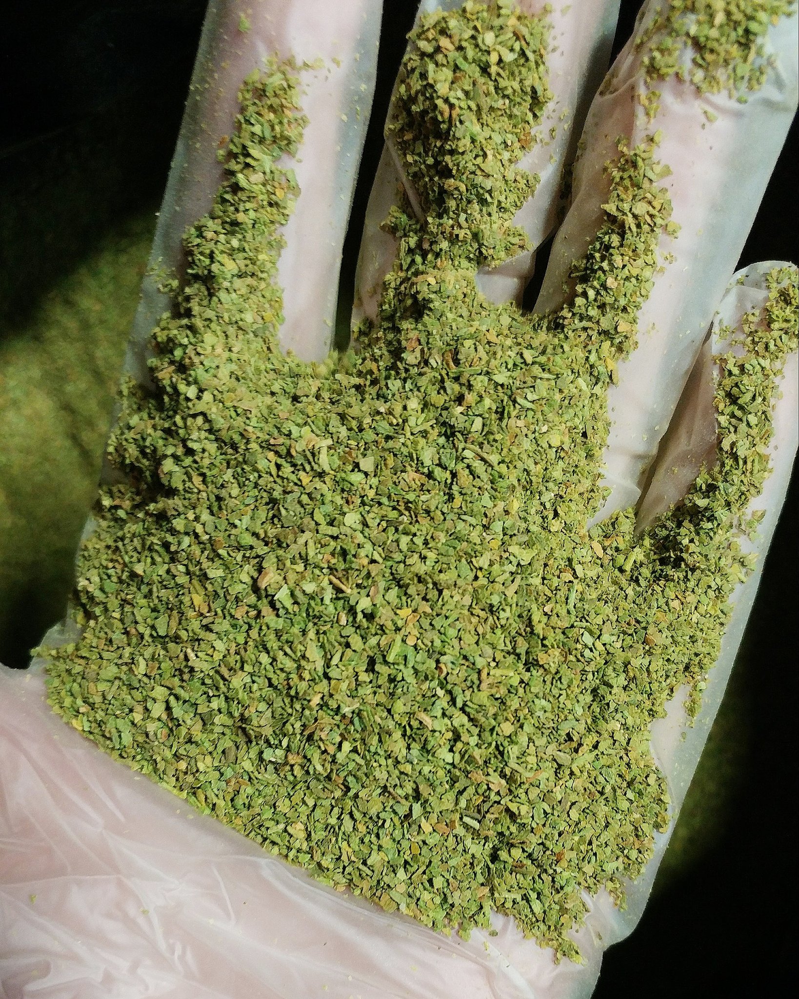 on Twitter "Check out this beautiful xhot dokha we just