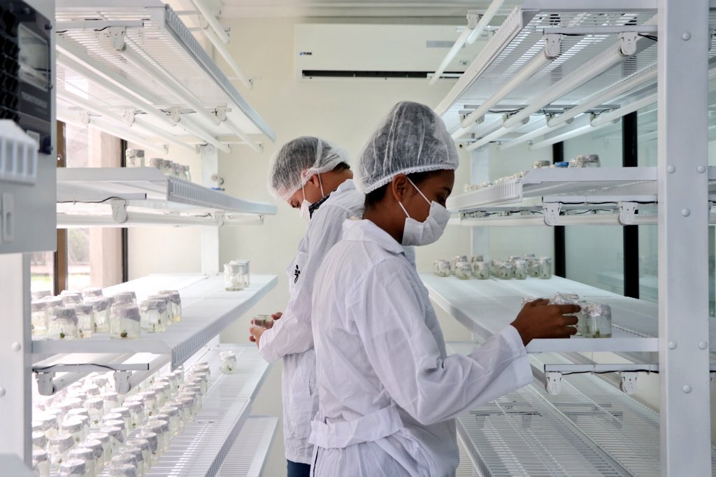 bibianapintosub's tweet photo. En el Centro Agroempresarial y Minero contamos con un moderno Laboratorio de Biotecnología que demuestra que en #Bolívar #SENAesCalidad https://t.co/nAPMlIb7Xg