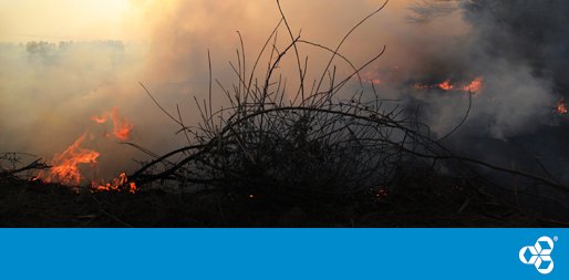 _Cooperators's tweet image. Clients impacted by #ParrySound33 Fire. Take care of what matters most and follow necessary precautions to avoid injury, property damage &amp;amp; make safety a priority. To make a claim call 1-877-NU-CLAIM or start a claim through your Online Services account. theco-op.ca/2tJFjP9