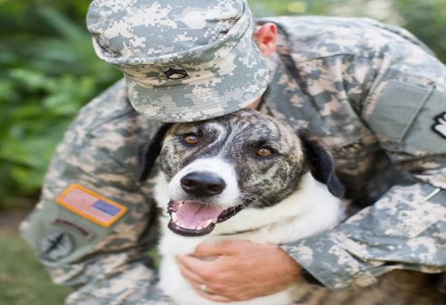 petprosservices's tweet photo. We're here to assist you in your #military #pet #relocation, either stateside or international. If you can't take your pet with you this time, we'd be happy to relocate your pet to a friend or family member. Inquire about our military discount! https://t.co/v5AC5YkeeK https://t.co/l9tNhZvW2r