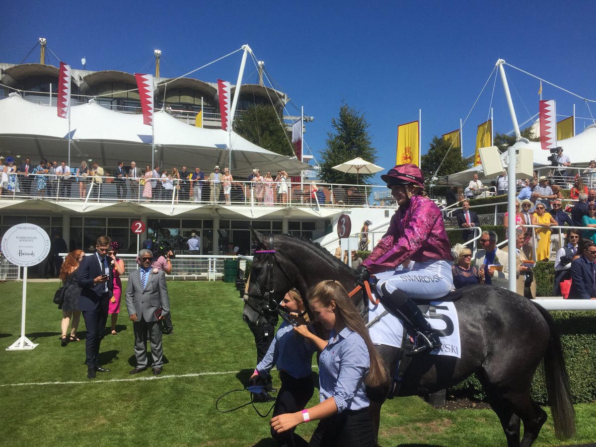 thebedfordfox's tweet photo. Fantastic run by ⁦@TheMirrorMare⁩ Sarah Cook to finish second in the Magnolia Cup ⁦@Goodwood_Races⁩ - thanks to ⁦@ianwilliamsraci⁩ and everyone who has given their support. https://t.co/BtH5GRU7fs