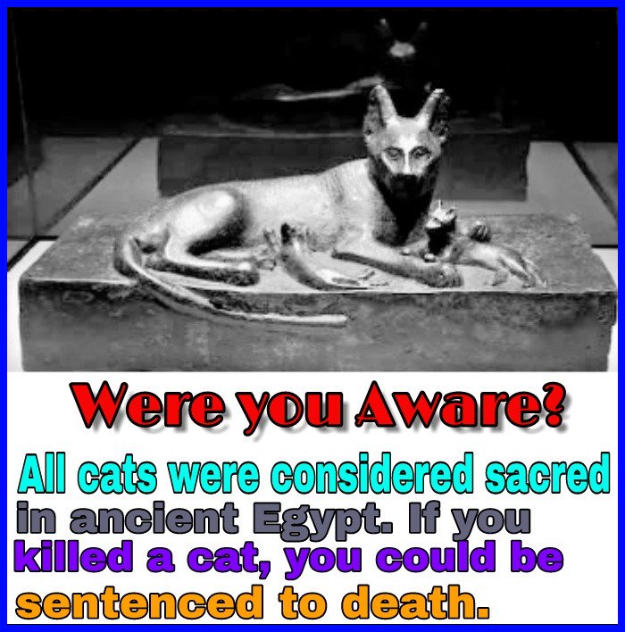 factastick_'s tweet photo. #TIME4AAWEsomeKNOWledge #facts #fact #funfacts #awesomefact #time4knowledge #awesomeknowledge #sportsfact #animalfact #coolfact #knowledgeisWealth #knowledge #bollywoodknowledge #unbelivebleFact #worldfact #WereYouAwar #AncientEgypt #cat #Death https://t.co/EN5pR8pVPB