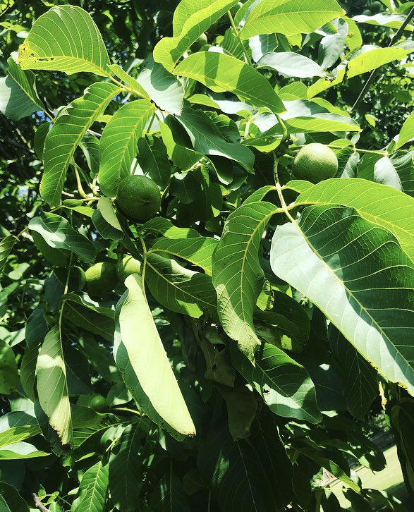 Reece Spence tweet media