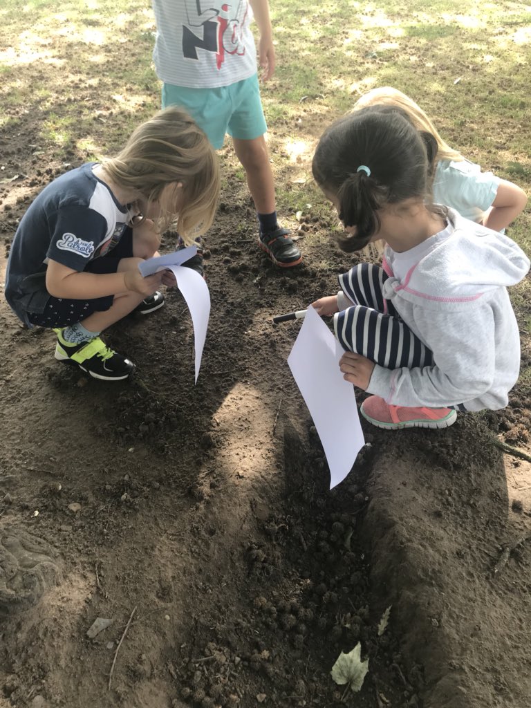 Reece Spence tweet media