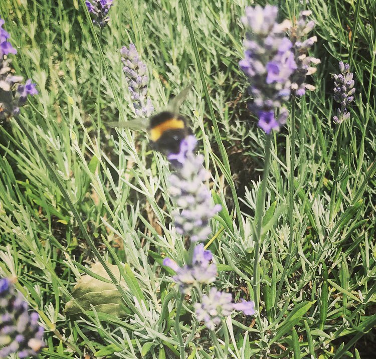 Reece Spence tweet media