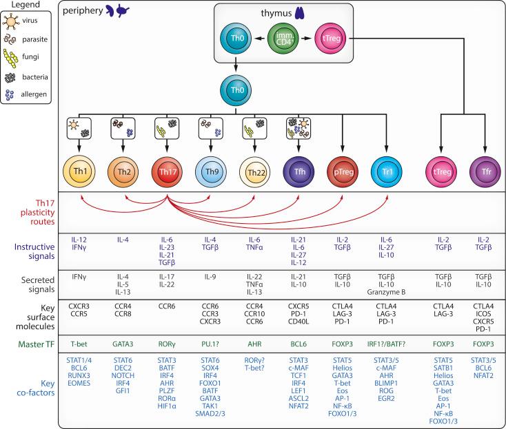 the system figure