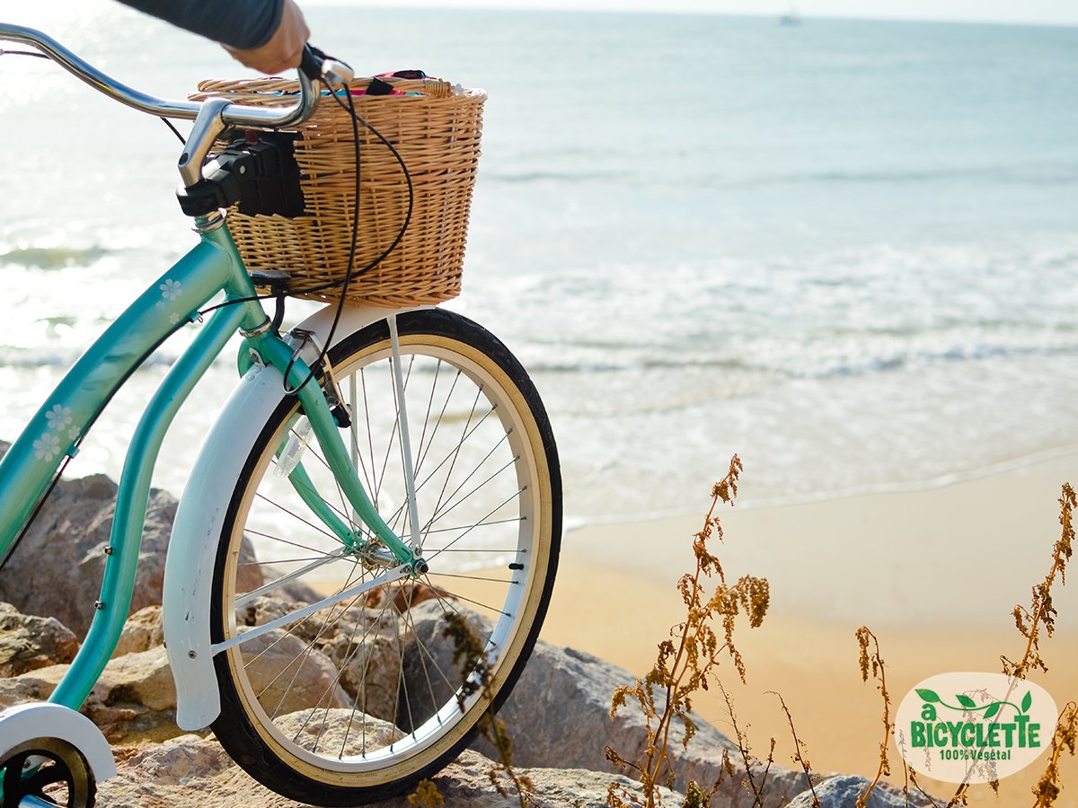 ABicycletteFR's tweet photo. En vacances, c'est le moment de ralentir et de prendre du temps pour vous. Quelles sont les activités que vous avez prévu ? https://t.co/bf7ECIFDRp