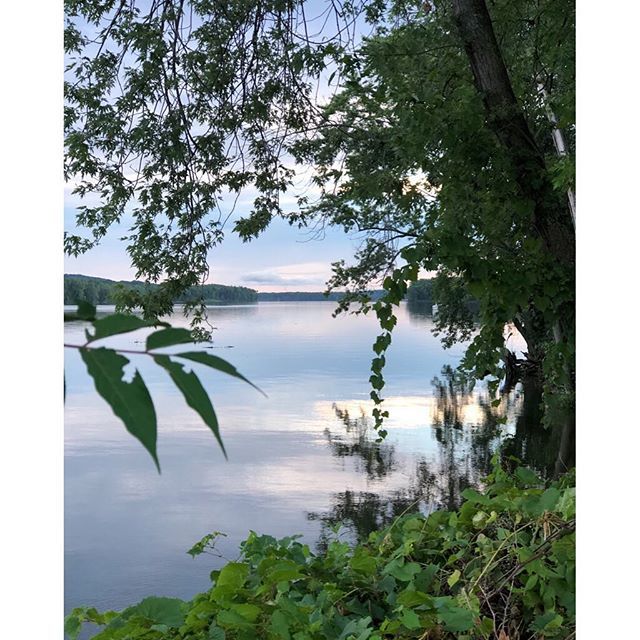 HUDSON RIVER - CALM BALMY MORNING. .
.
.
.
.
#hudsonriver #upstateny #hudsonvalley #river #water #countrylife #morning #thursday #shoplife #newyork #natural #naturalbeauty #outdoors #calm