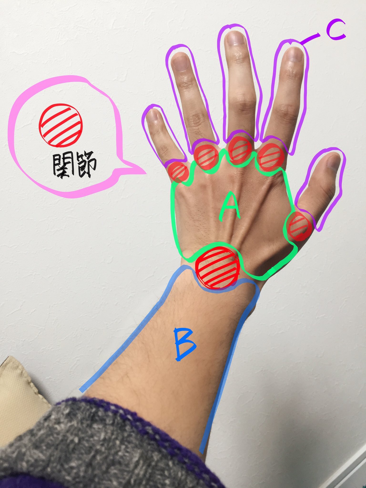 吉村拓也 イラスト講座 手の描き方 画像で分かるプチ解説まとめ 手のバランスと比率 のコツ