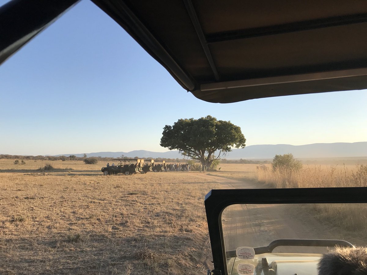 RussTindale's tweet photo. Thank you @OfficialCSA @MabulaGameLodge for 2 great days of insights and learning! #sponsorsforum #expagency #standardbank #inspired https://t.co/WX3y3q6jIq