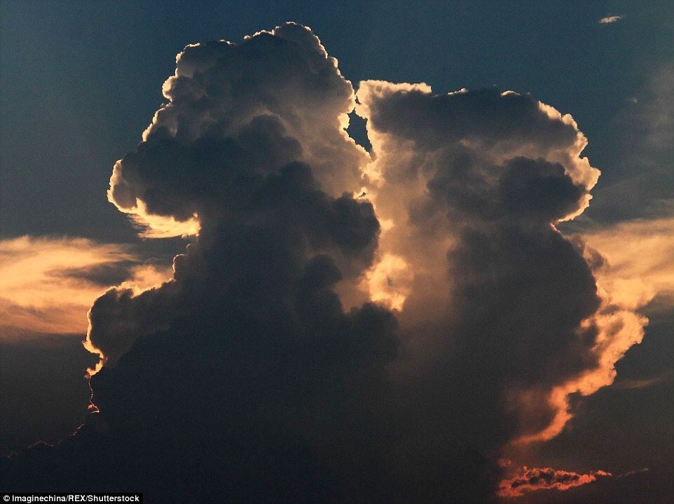 أديـب. (@iiadeb) on Twitter photo 