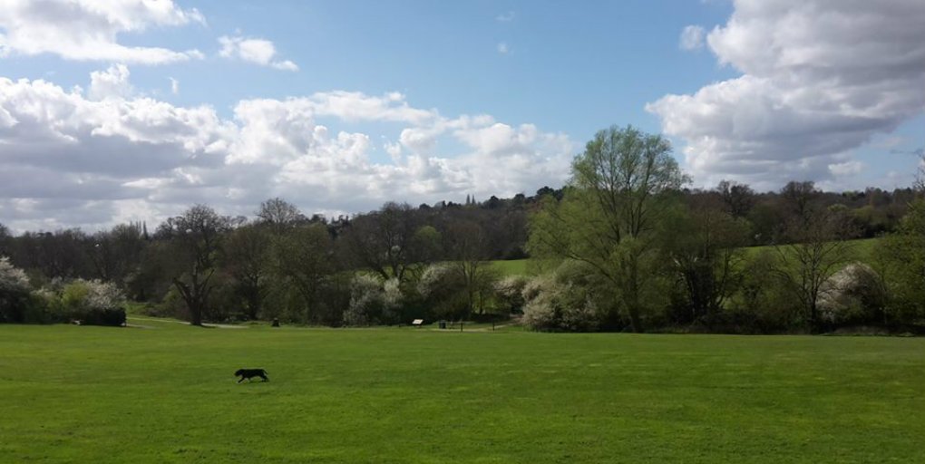 BarnetCouncil's tweet photo. If you're out enjoying one Barnet’s many parks today, please don’t litter. Use a bin or take your rubbish home with you. Help us #KeepBarnetClean https://t.co/ID9etuh8C0