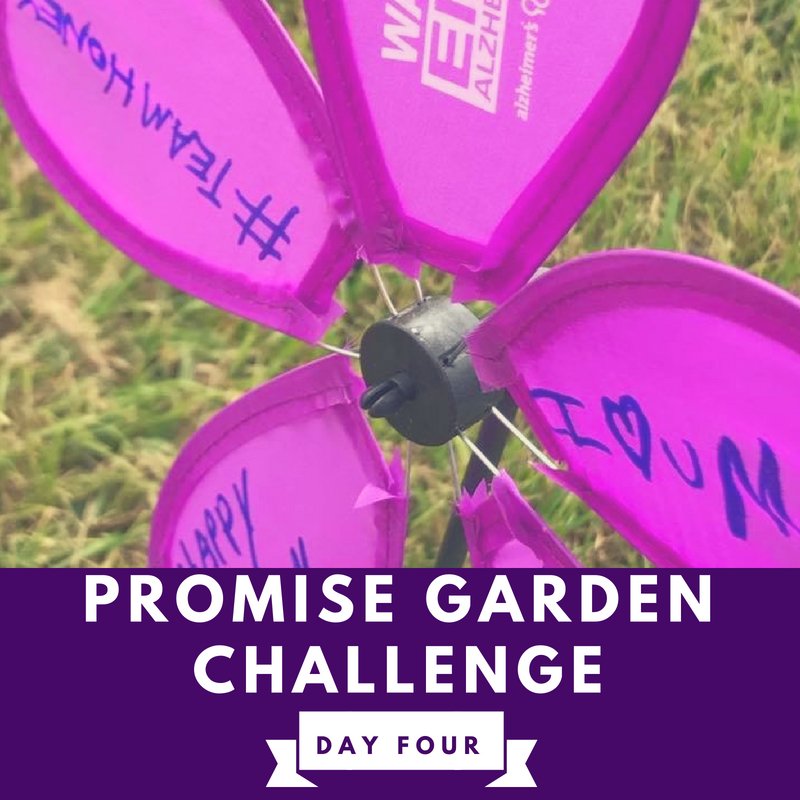 endalzla's tweet photo. Today, we honor the Purple flower. The purple flower represents everyone who has lost a loved one to this disease. We challenge you to EMAIL 10 people via your Walk Participant center by 11:59 CST &amp; be entered for a chance to win 1 of 4 purple coolers, great for Walk day! https://t.co/Zd9yctwQC6