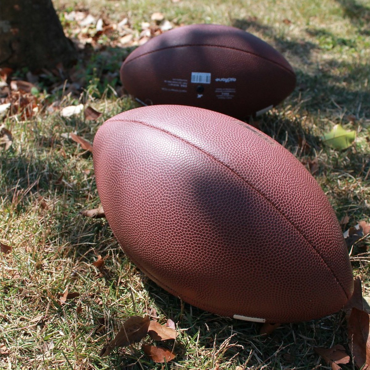 Nicolet Water tweet media