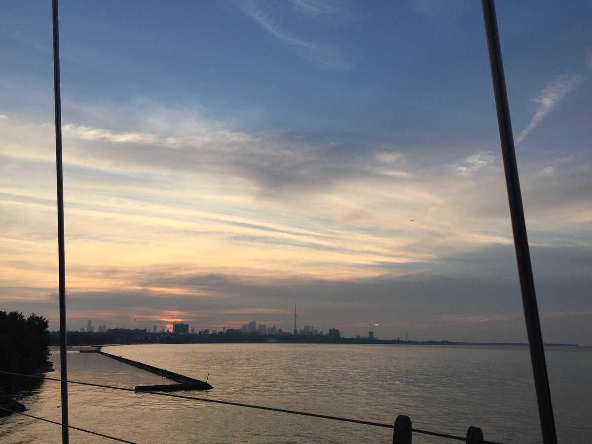 Dr. Niki Fitzgerald tweet media