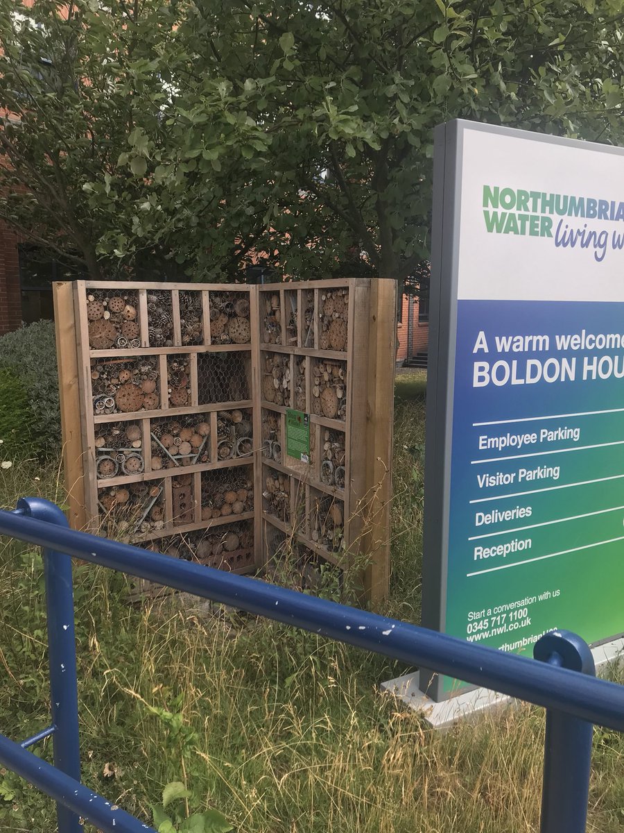 Great meeting with <a href="/NorthumbrianH2O/">Northumbrian Water</a> today and loving their hotel for bugs 🐛 🕷🦗🐜🐌🐞🐝 #planning #designthinking #education #ideas #engagement #STEAM <a href="/mighty_futures/">Mighty Futures</a> <a href="/emgarrick21/">Emma Garrick</a>