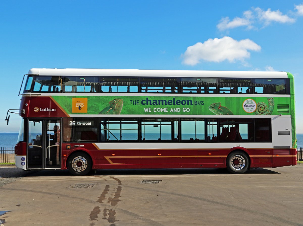 EdinburghZoo's tweet photo. The #ChameleonBus isn’t the only green bus in town! @on_lothianbuses #26 fleet reduce carbon dioxide emissions by 25% nitrous oxides by up to 98% & particulates by about 75% compared with standard vehicles. Why not hop on a #ZooBus for your next journey? https://t.co/mXoFKV5amh https://t.co/7a8cuUL3E6