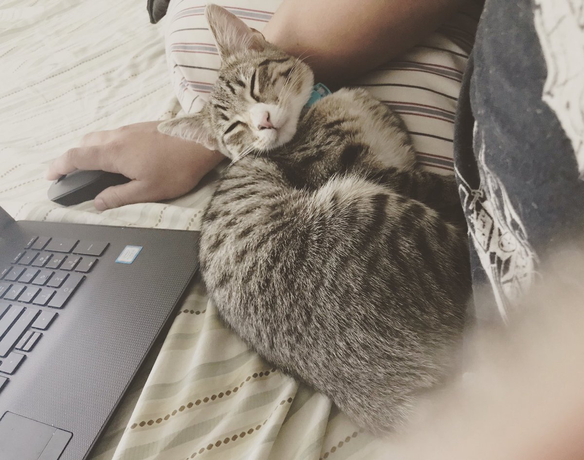 Drew's Theory (@drews_theory) on Twitter photo 