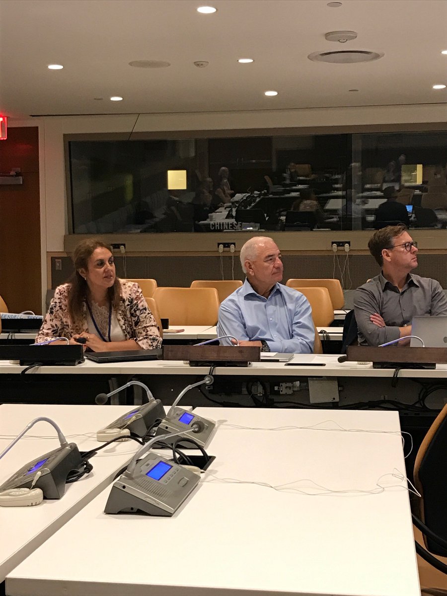 UN-GGIM Academic Network tweet media