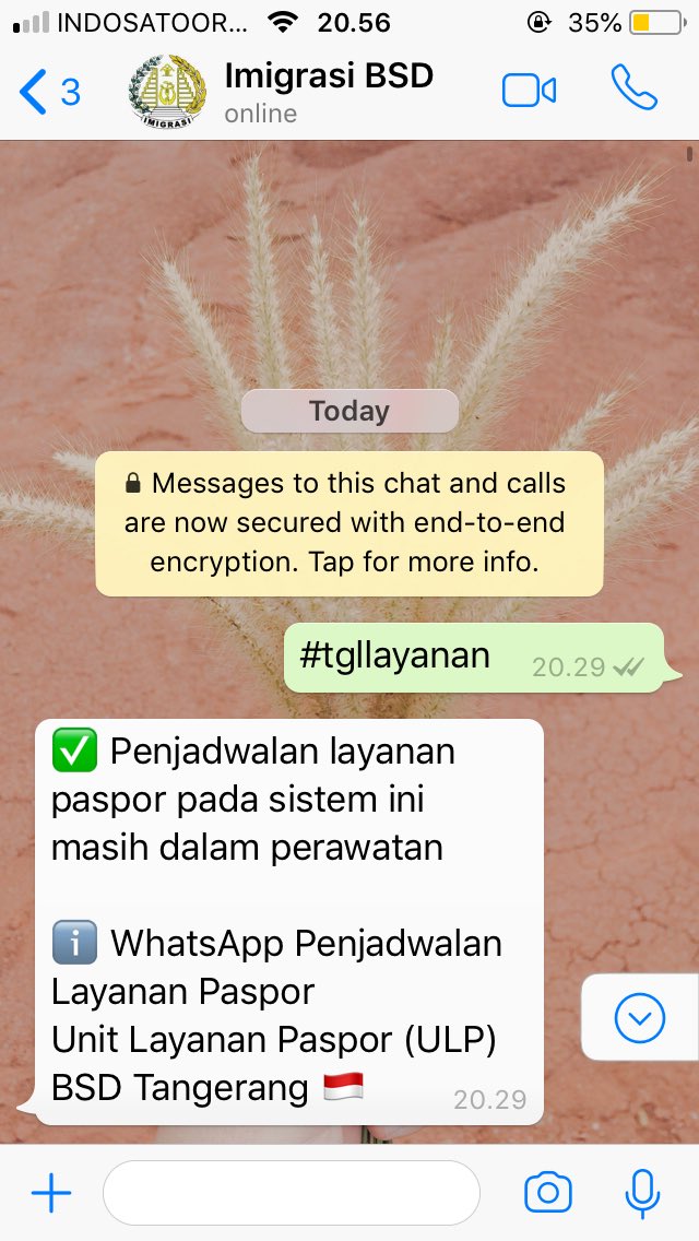 dindautamip's tweet photo. @kanim_tangerang @YouTube Min mau nanya, kanim wilayah BSD pas di WA balesnya gini nih, berarti harus ke tangerang atau gimana? https://t.co/T0FIFwYGWs