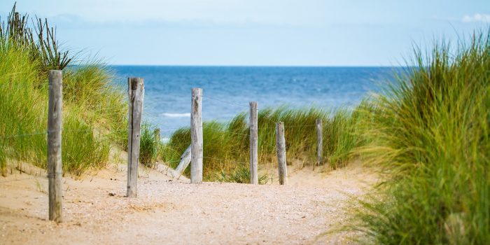 Hou de stranden schoon! - altenaactueel.nl/index.php/2018…