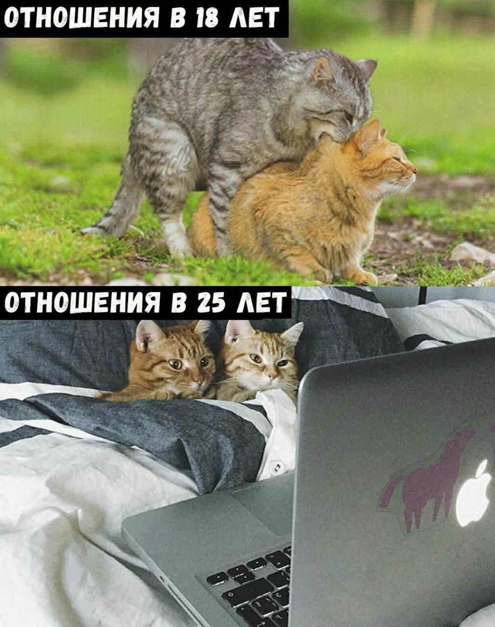 Юмор про отношения