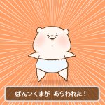 8月2日パンツの日。ぱんつくま…かわええ!うん、かわええ!