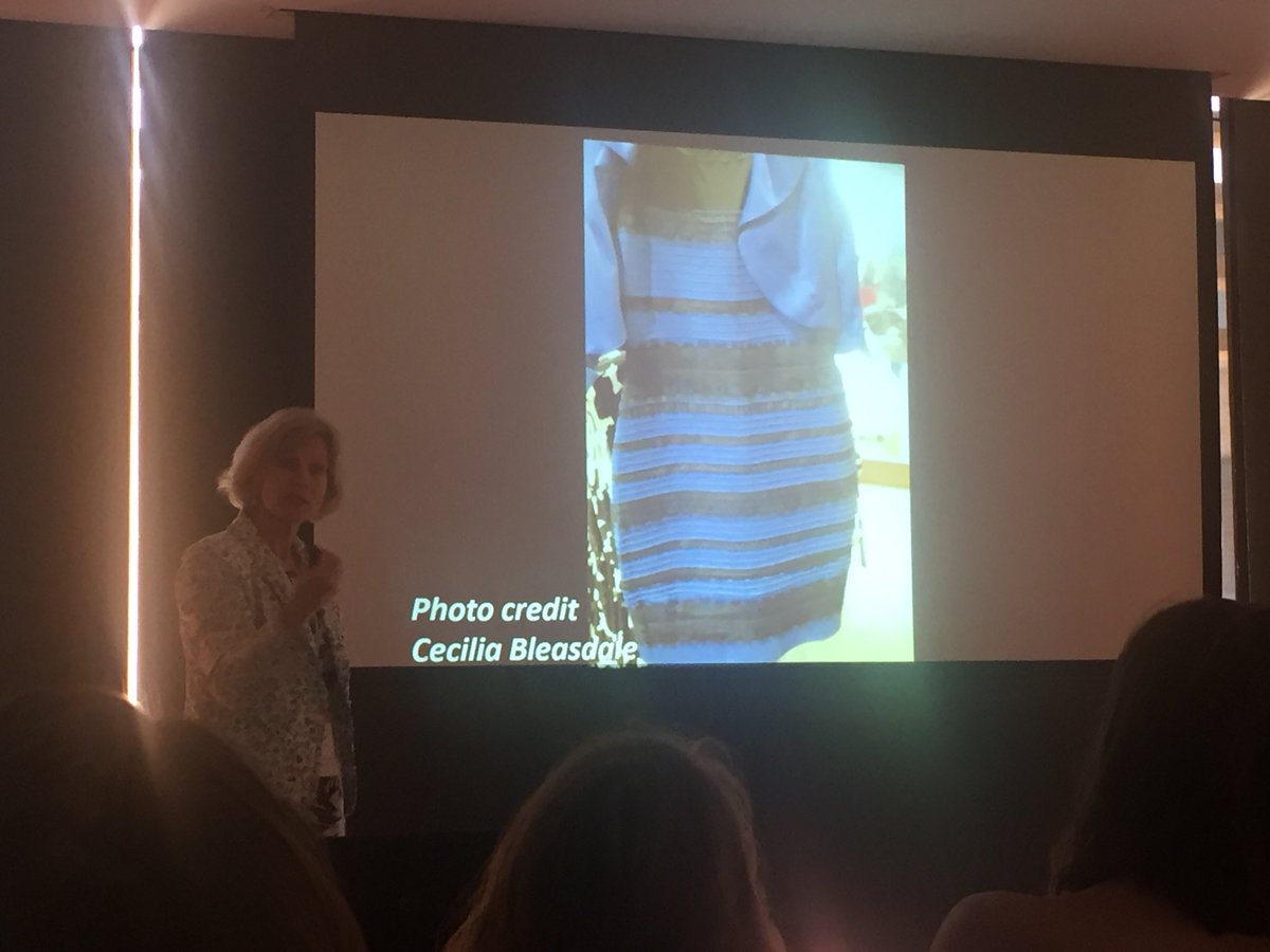 GarethWalkom's tweet photo. Anya Hurlbert speaks on colour constancy - psychophysics and algorithms #ICVS #ColorVision #thedress #ColorConstancy #psychophysics https://t.co/KFPnMadWo1