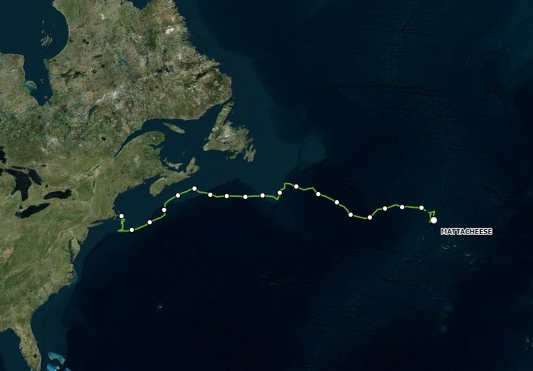 trackseabirds's tweet photo. Great #shearwater Mattacheese continues to hang out near the mid-Atlantic Ridge! @CLS_Group @NOAASBNMS #biologging #Tech4Good #tech4wildlife #Argossystem #geospatial https://t.co/1pgp9R8Vby