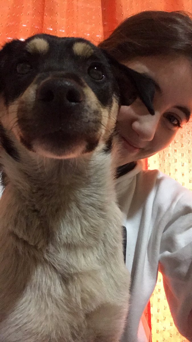 naiaramangini's tweet photo. ¡ADOPCIÓN RESPONSABLE!
Me enteré que los antiguos dueños de Jana la tiraron desde un auto. 
Ahora está buscando una familia que vuelva a darle el amor que se merece , es chiquita, juguetona y dulce. 
Ya no puedo tenerla conmigo, y si sigue con nosotros se va a encariñar. + https://t.co/ZvQyPdfxXy