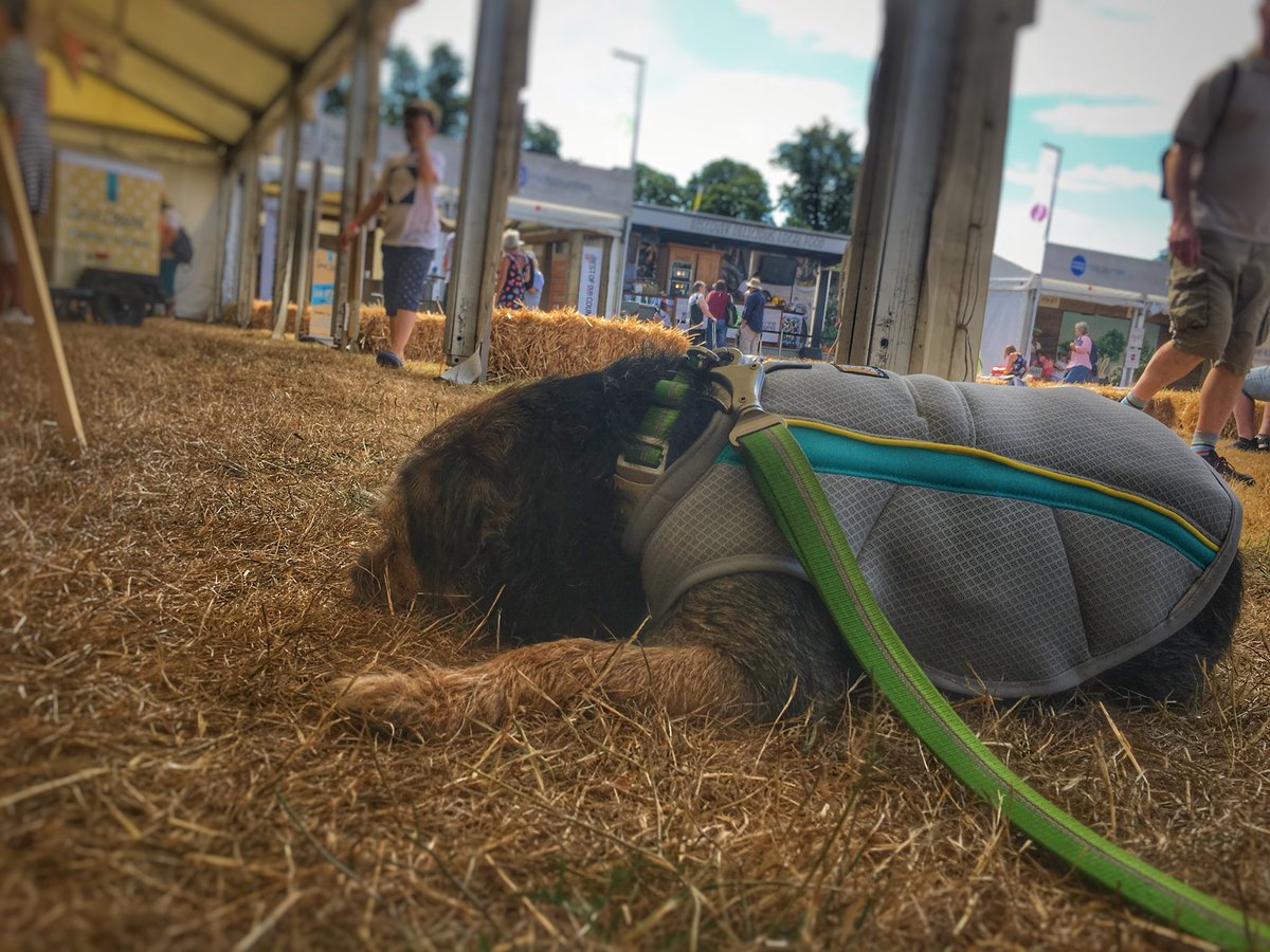 Wow pals <a href="/RuffwearUK/">Ruffwear UK</a> we <a href="/DuncanPickles/">Lord Duncan Pickles</a> are SO pleased with our cool coats the swamp cooler today having been <a href="/Countryfilelive/">BBC Countryfile Live</a> #ruffwear #cflovesdogs and so many people stopped and asked my old lady about them. Apparently there is a market for human sized ones *rolls eyes*