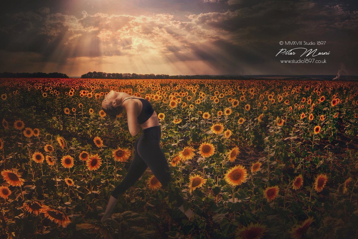 piadavanzo's tweet photo. New mantra:
I AM ENOUGH.
Who I am is enough.
What I do is enough.
What I have is enough.
#studio1897 #artphotography #yoga #yogaeverydamnday #yogapractice #yogainspiration #yogaphotographer #practiceyogachangeyourlife https://t.co/c4Pz1aa9xG