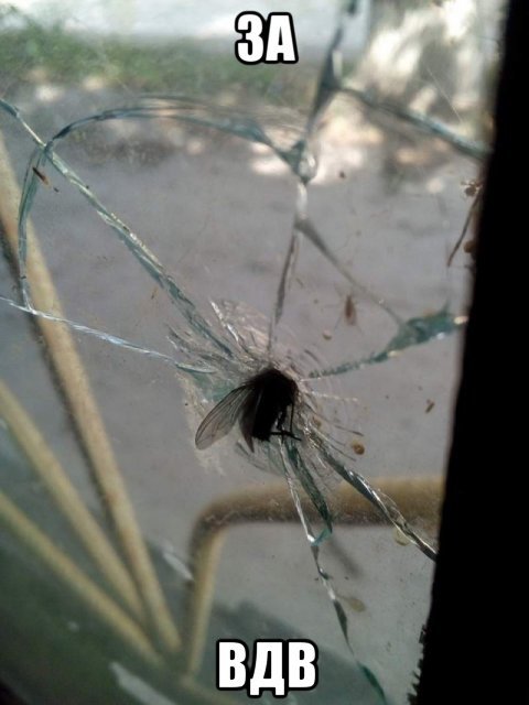 polzip1's tweet image. 