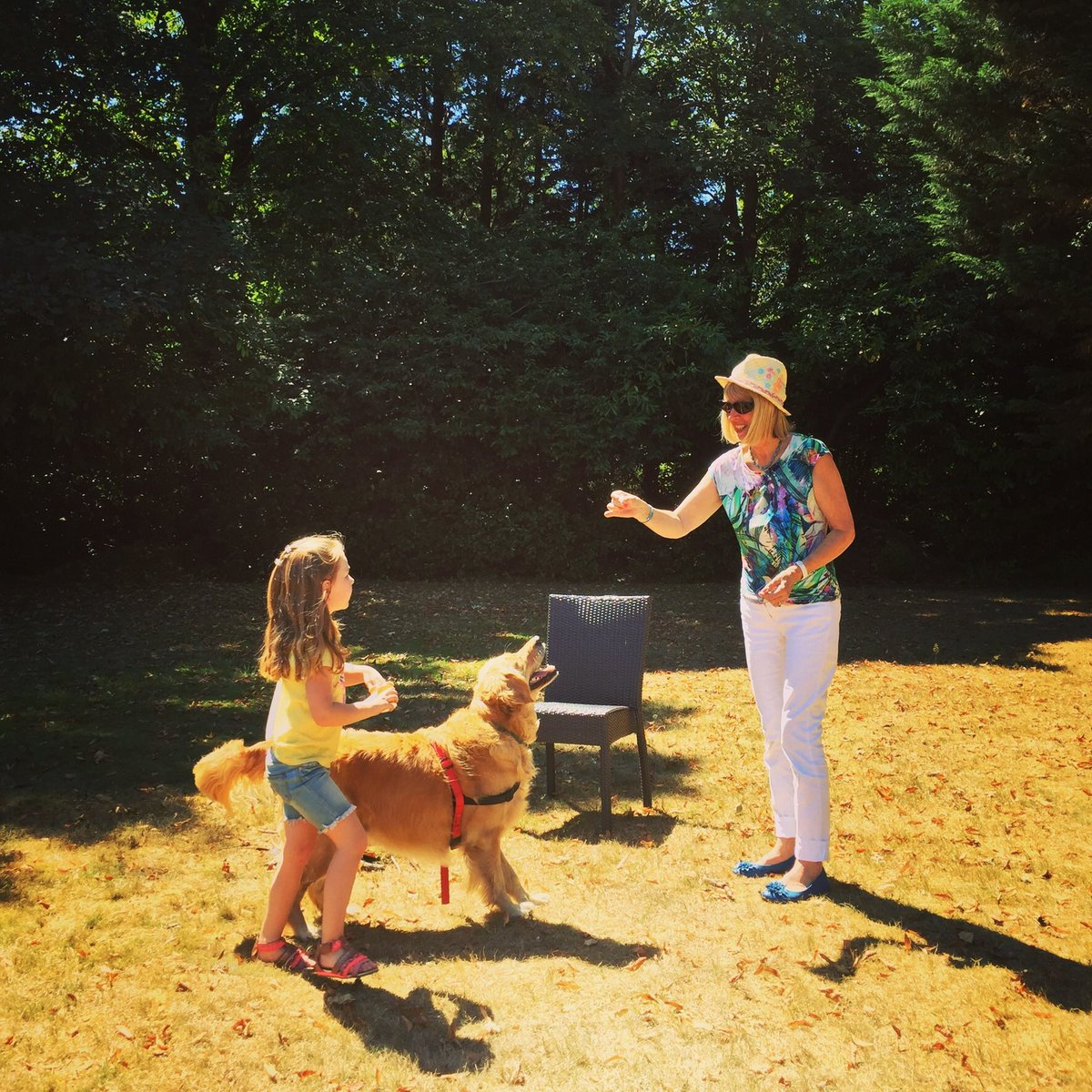 headfudge's tweet image. Special times at @SpotintheWoodUK with the little lady, Bella &amp;amp; Grandma for her birthday lunch 🎉🙌☀️🌲 #outdoorfun #NewForest #family #headfudge #liveinthemoment