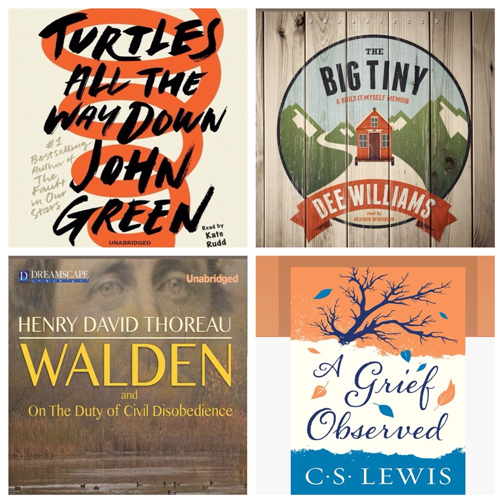 burrolibrary's tweet image. My Summer Reading! Can’t wait to hear about your summer reading favorites! #mnpslibhack @mnpslibraries @nowatnpl