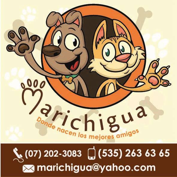 marichigua's tweet photo. Encuentra los mejores productos para tu mascota. En #MarichiguaShop tenemos todo lo que tu mejor amigo necesita: piensa en algo especial o el mejor juguete ¡Encuéntralo! 😉👌
#guineapig #морскаясвинка #cobayo #petslove #feature_do2 #guineapiglife #meerschweinchen #cavies #rodents https://t.co/vRxtDl45CC