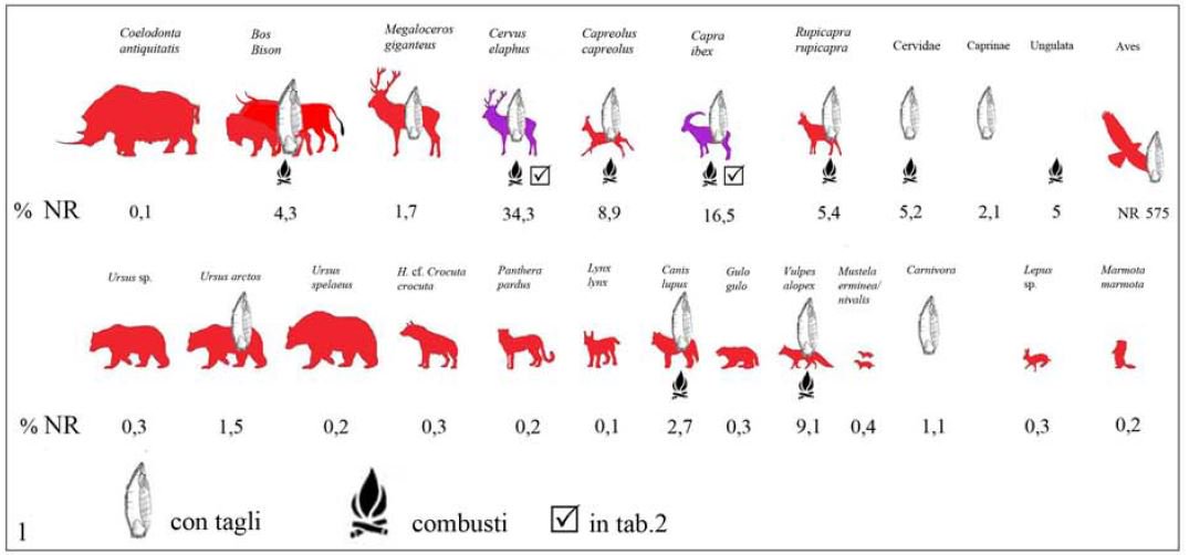 Grotta_Fumane's tweet photo. Exploitation of #animals during #Uluzzian A Romandini et al's article from AIAZ congress proceedings at https://t.co/mP4WaeOZdY https://t.co/JuSmEUZmCm