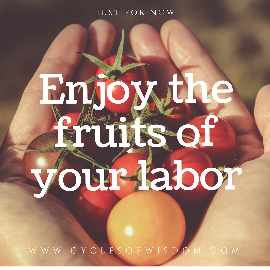 cyclesofwisdom's tweet photo. Happy #Lammas! We're at the peak of summer. It's time to enjoy the fruits of your labor. Enjoy! For more on working with the energy of the #wheeloftheyear, check out: https://t.co/QJqFgFWnh1 #sabbat #pagan #solarcycle #cycleliteracy #enjoysummer https://t.co/7JXmyKEJmq