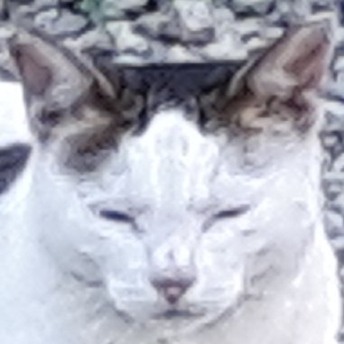 sisk149cm's tweet photo. なーにみてんだ。

ぼっち https://t.co/Uk9QWTpbHz